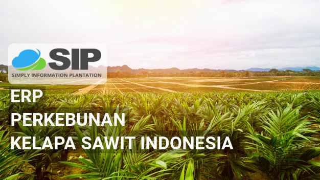 KELAPA SAWIT Indonesia SIP Aplikasi ERP Perkebunan Kelapa Sawit Indonesia 